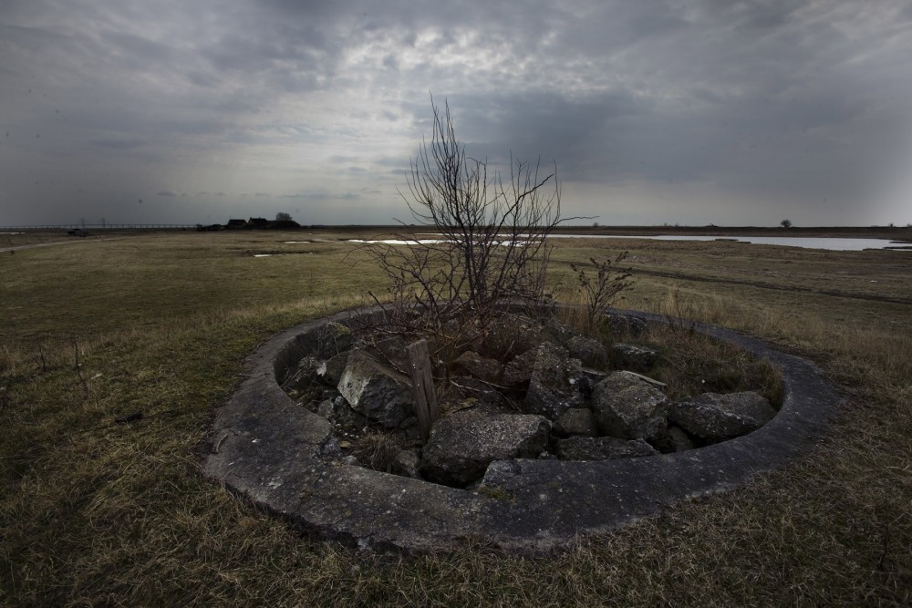 Tidligere tysk Kanonstilling på saltholm fyldt med murbrokker, så dyrene ikke falder i.
